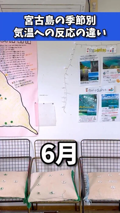 画像313